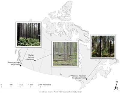 Detecting Compensatory Growth in Silviculture Trials: Empirical Evidence From Three Case Studies Across Canada